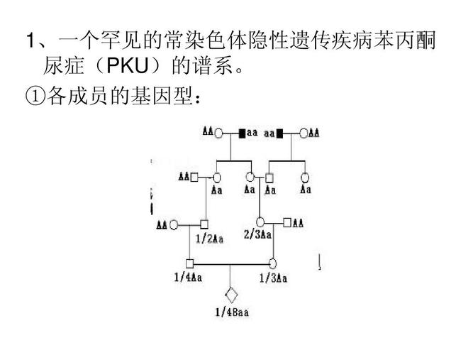 1,一个罕见的常染色体隐性遗传疾病苯丙酮 尿症(pku)的谱系.