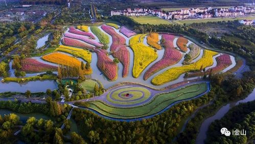 花开海上生态园