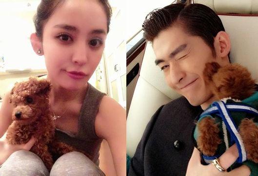 网曝张翰约会古力娜扎 恋情疑似曝光(附图)