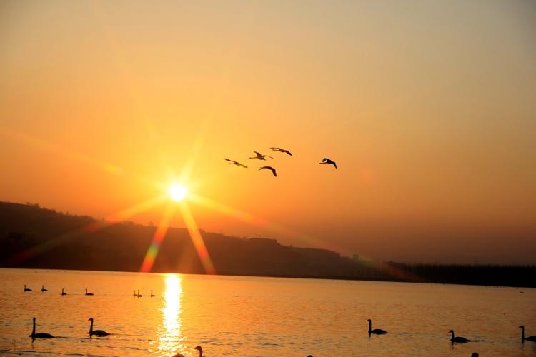 晨光中的天鹅湖