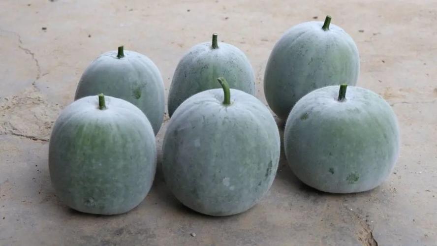闻起来是香芋,吃起来是冬瓜?这种新奇的瓜,你吃过吗?