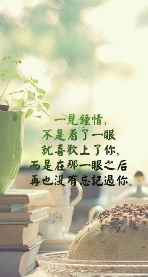 一见钟情