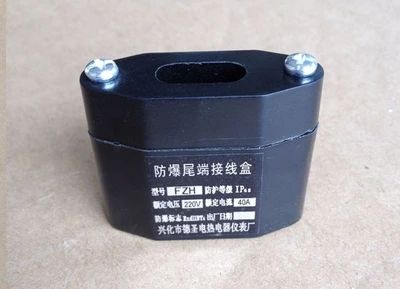 电热带防爆三通接线盒二通接线盒防爆尾端终端接线盒电热带配件