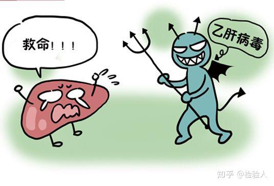 急性乙肝(乙肝病毒感染低于6个月)通过