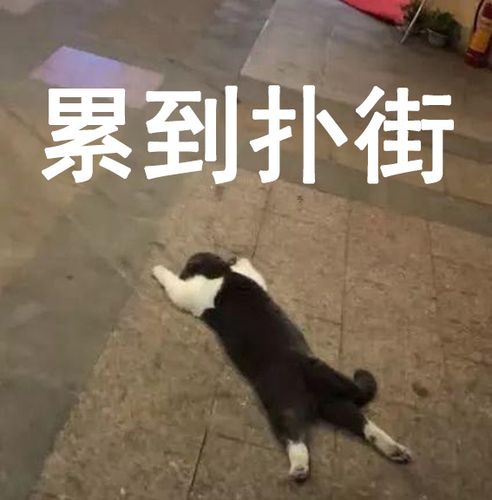 "我太累了"表情包:每一个感觉好累的瞬间,都是废萌本萌在作怪