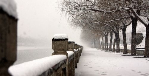 但是南方的冬天室内比北方冷啊~北方有雪,南方有雨,你在哪?