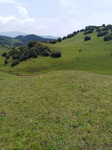 乌龙坝高山草甸(宾川的小香格里拉)