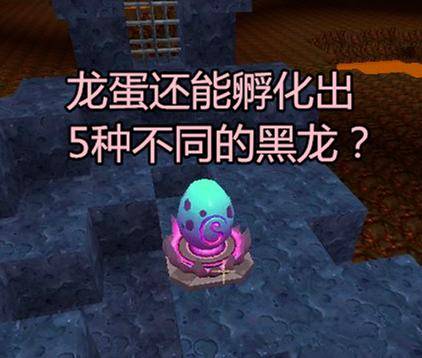 能孵化为5种不同的黑龙,更重要的是可以驯服,可以骑着它周游世界,龙蛋