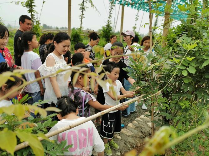 生态研学基地—好奇亲子农场