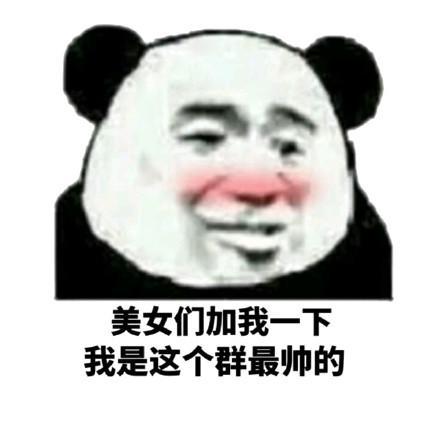 关于美女的斗图表情包