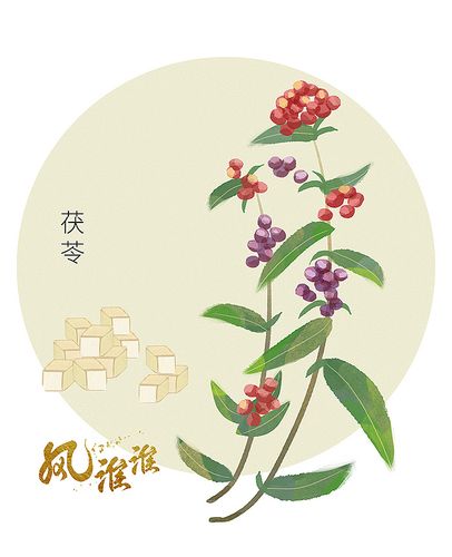 本草纲目中草药系列