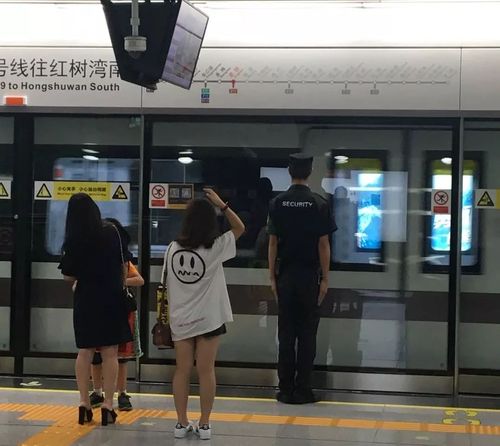 在深圳,每天挤地铁的都是些什么人