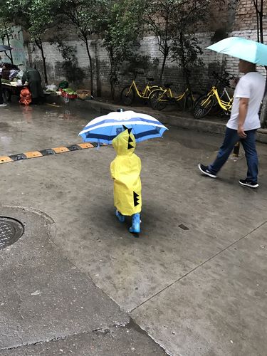 淋雨