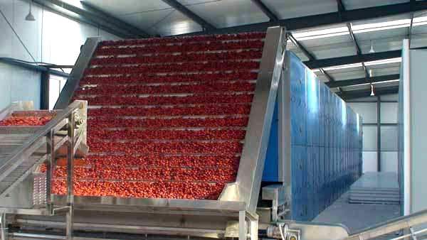 辣椒烘干机-小型辣椒烘干机-辣椒烘干设备厂家