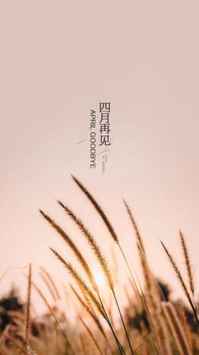 可这种心情很长, 如高山大川,连绵不绝.