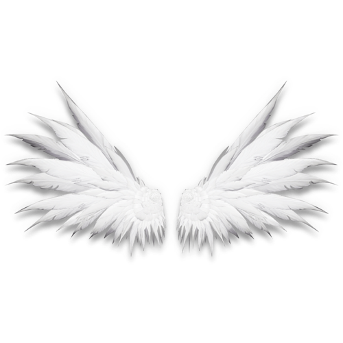 羽毛翅膀图片大全_羽毛翅膀图片素材【png免费下载】-90设计网