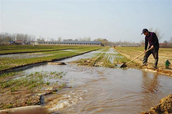 高峰,滨州黄河河务局采取多项措施,确保全市沿黄农田灌溉急需用水供应