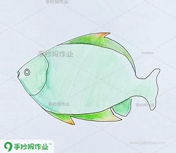 小鱼卡通画