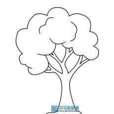 漂亮大树简笔画