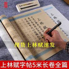 上林赋 得心上人全篇钢笔式毛笔氓字司马相如临摹贴书法笔初学者
