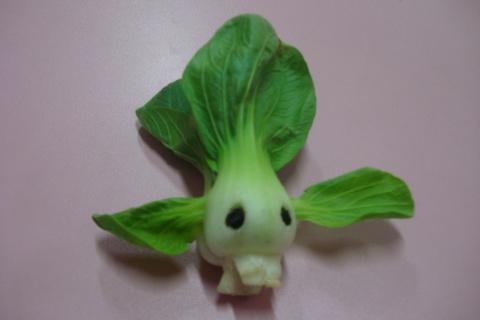 我们的蔬菜diy - 宝宝贝贝 - 小一班向前冲!