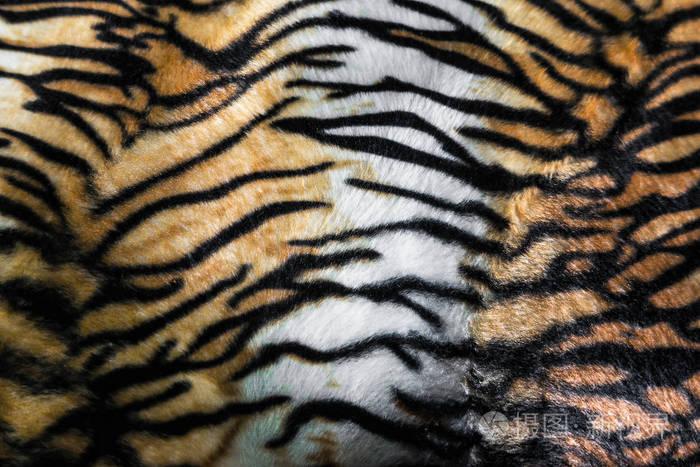 虎皮或老虎皮革纹理条纹图案特写黑色