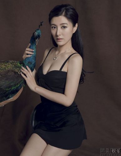陈廷嘉杂志写真