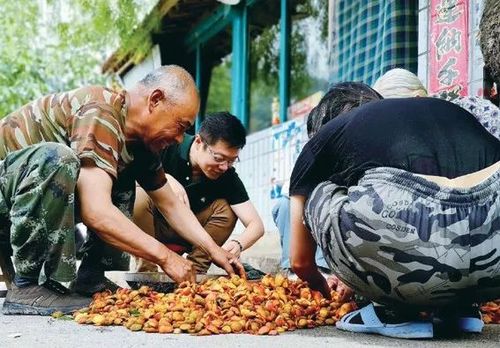 btv主持人蒋宝琛 高燕 国培源 东子 忙碌而快乐