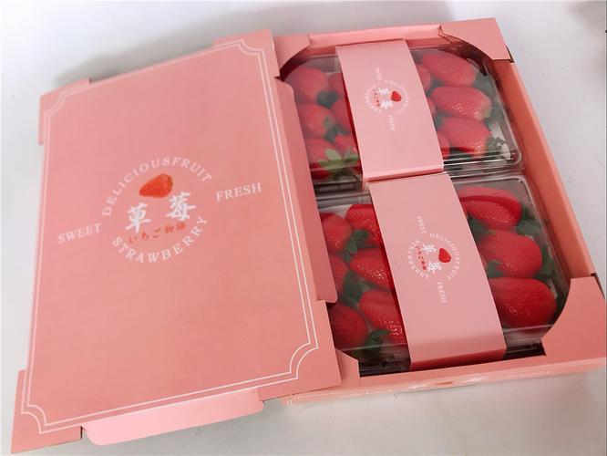 新款日系草莓包装盒淡雪红颜纸盒快递纸箱2斤装11孔礼盒绳提现货