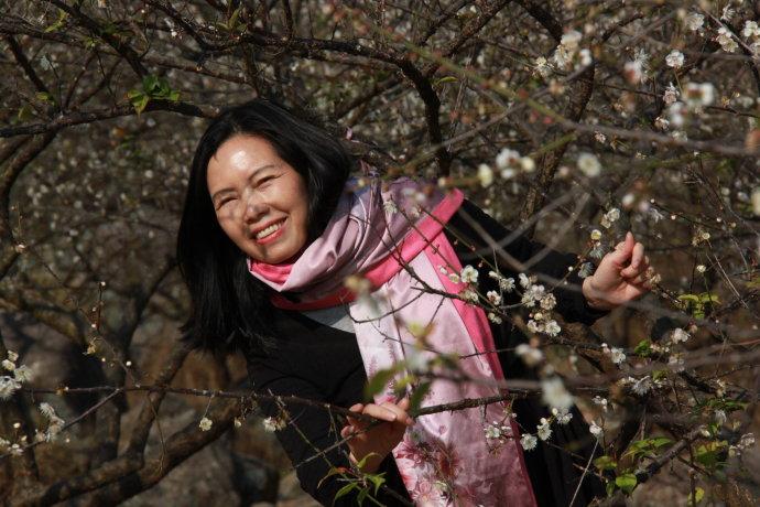 2014元旦开平大沙梅花节