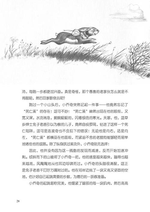 罗伯特·罗素作品集:兔子坡(插图版 纽伯瑞儿童文学奖)