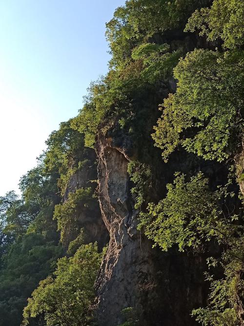 老岩新绿