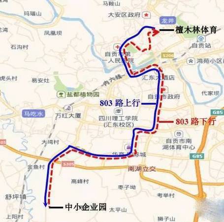 喜讯自贡又开通了一条公交线803路