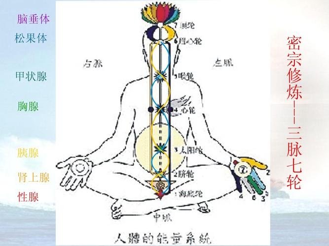 藏密七轮芳香疗法图ppt
