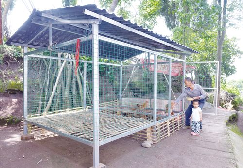 武胜县统一定制鸡舍 解决环境污染问题