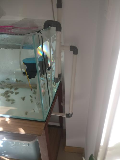 自己做的虹吸底滤细节