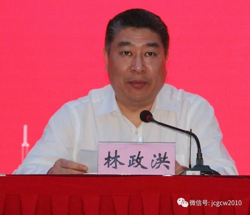 瑞安市副市长林政洪致辞