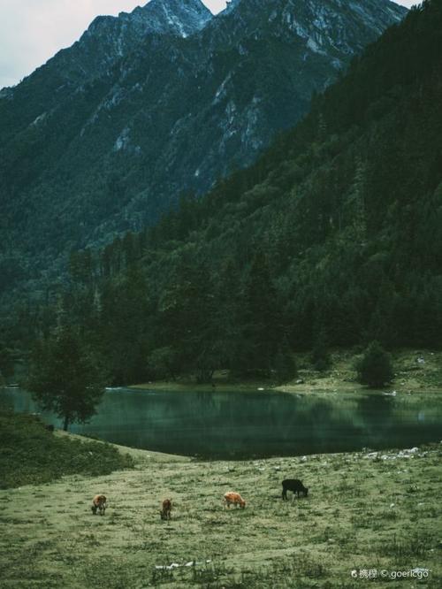 荷花海国家森林公园景区旅游攻略 之景点1(1/共10页)