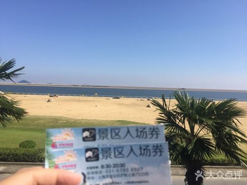 金山城市沙滩图片 - 第581张