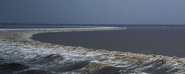 海宁潮|钱塘江|钱坦圹潮