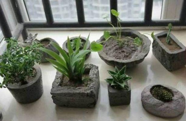 花盆还用买吗?把几件"垃圾"改一下,就是完美花盆,精美极了