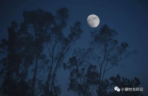 夜晚这么美的渡头山,你见过吗?