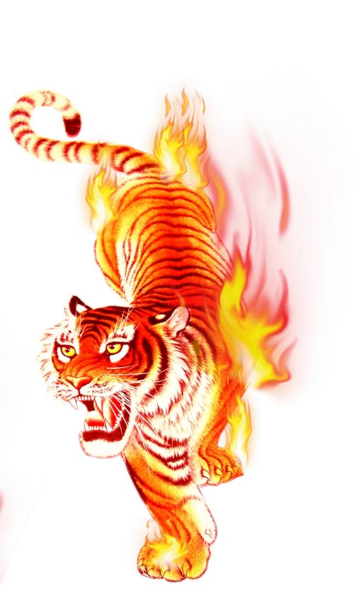 火老虎