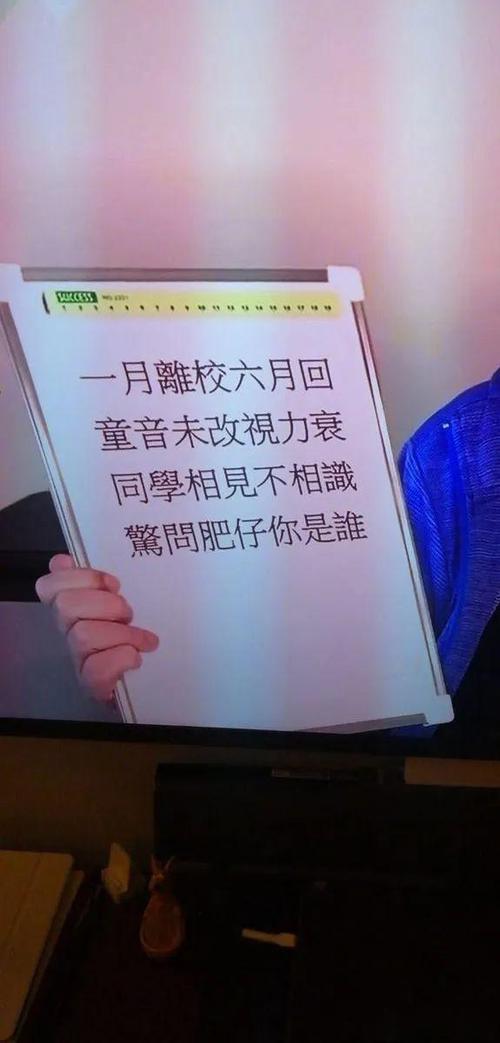 【搞笑】进可攻退可守的表白文案