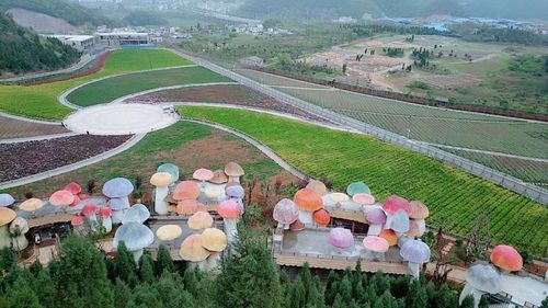 【携程攻略】兴义醇酒厂风景区景点,贵州兴义醇酒厂美