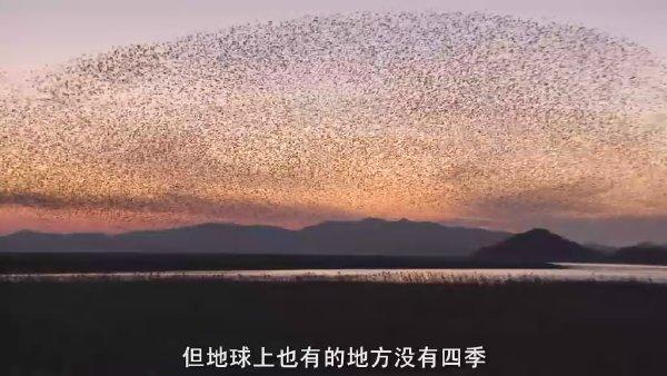 bbc:地球脉动