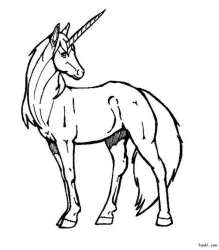 飞马独角兽的简笔画