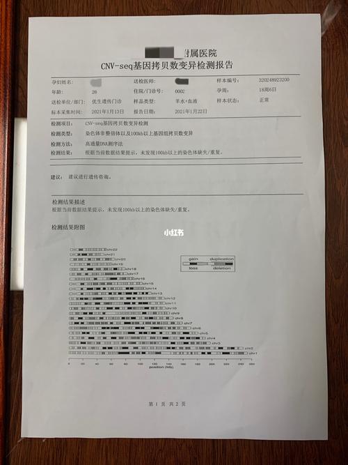 羊水穿刺检测报告可以看得出男女吗 (898961640961_疫苗