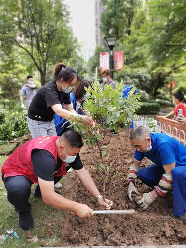 武汉动物园绿植"转岗"小区绿地