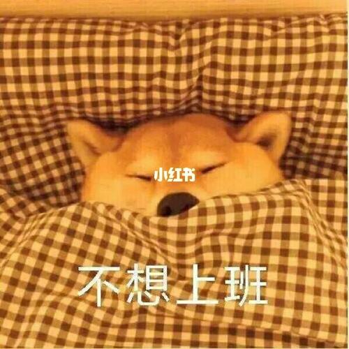 表情包‖伸个懒腰_表情包_素材_表情包